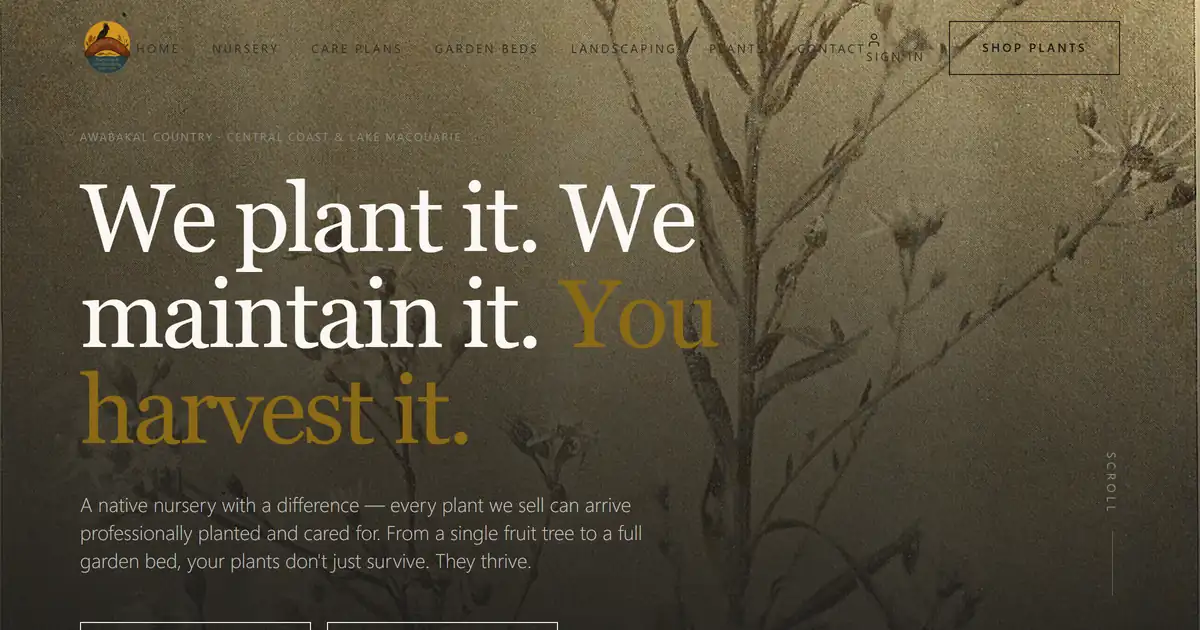 Awabakal Nursery homepage — warm botanical hero with a serif headline 'We plant it. We maintain it. You harvest it.' over native flora